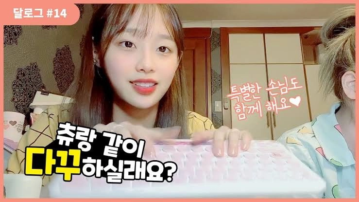 LOONA Log