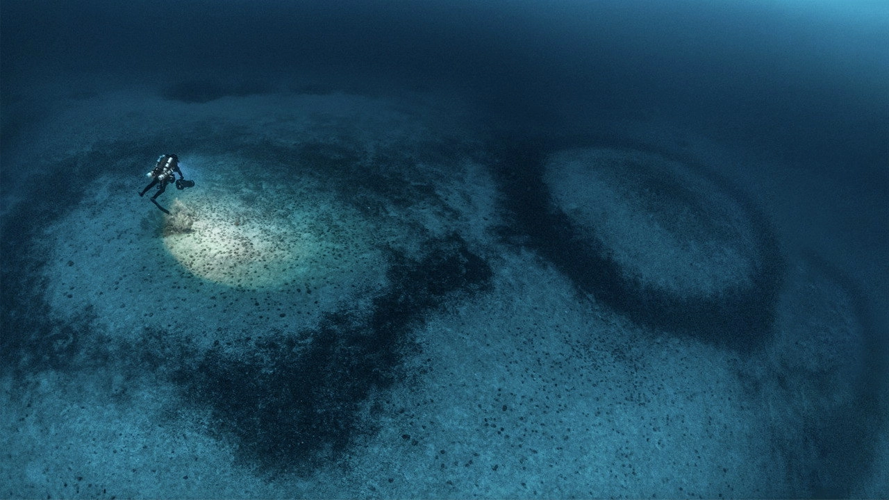 The Mystery of the Med Rings