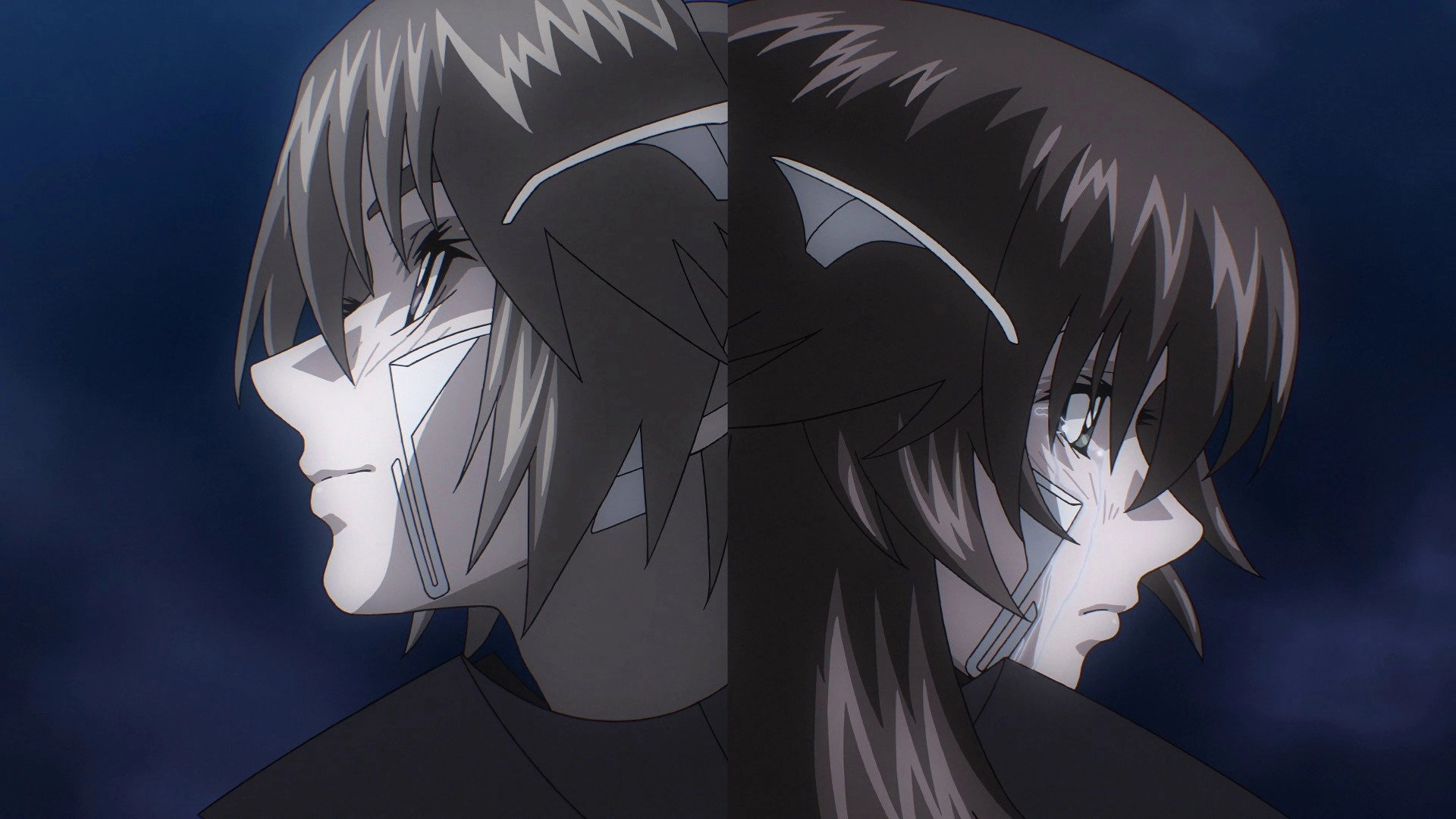 Fafner: The Beyond