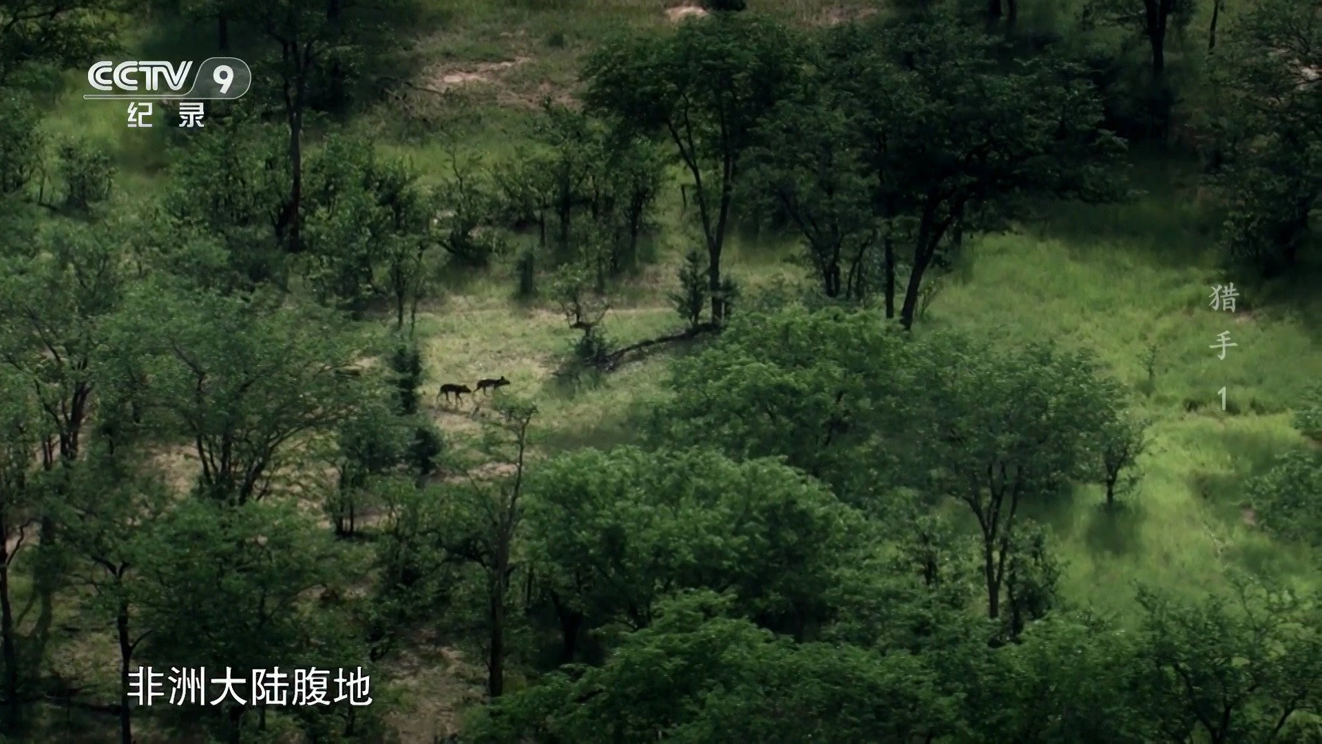 纪录片猎手