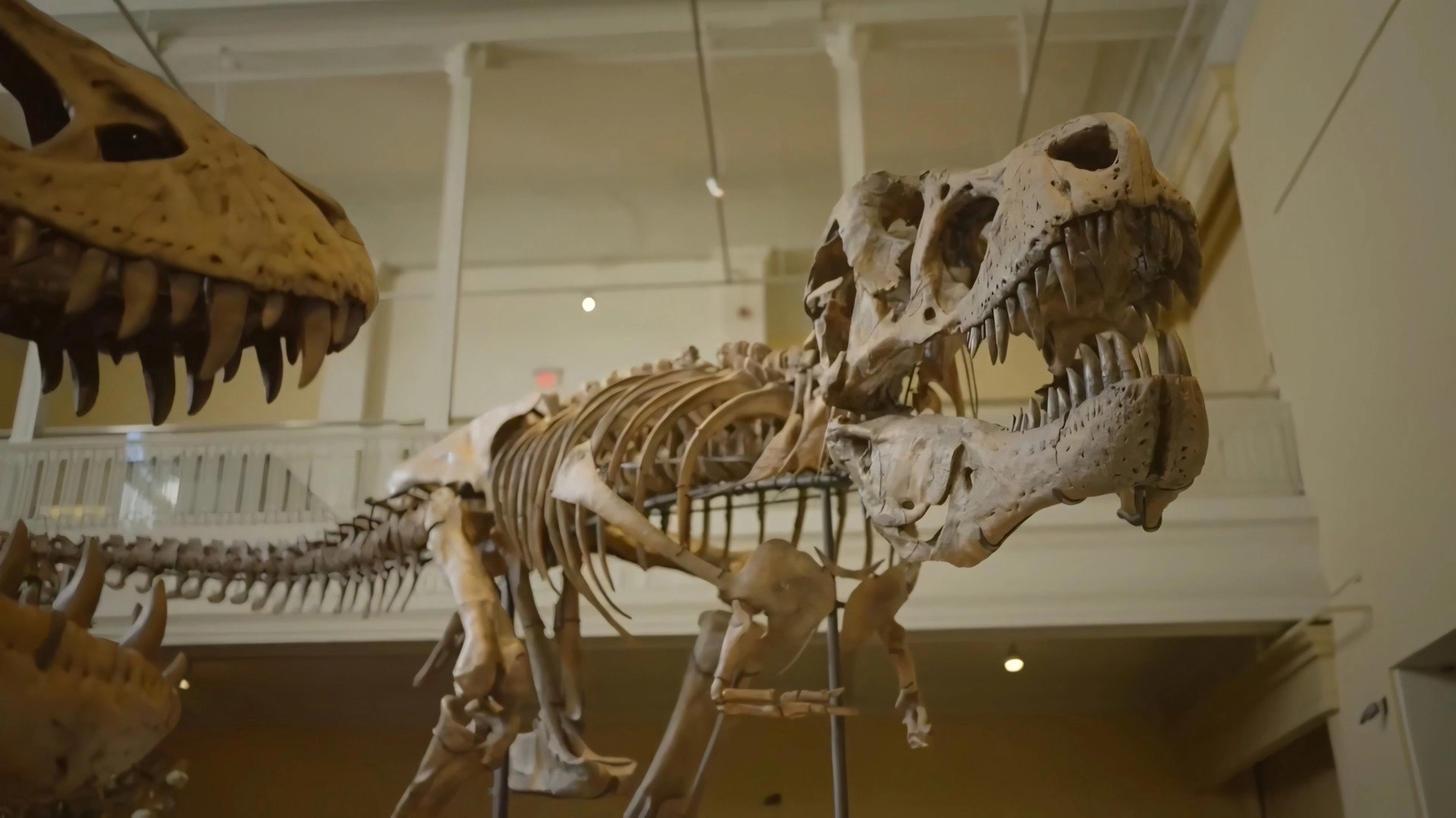 Greatest Discoveries with Dan Snow