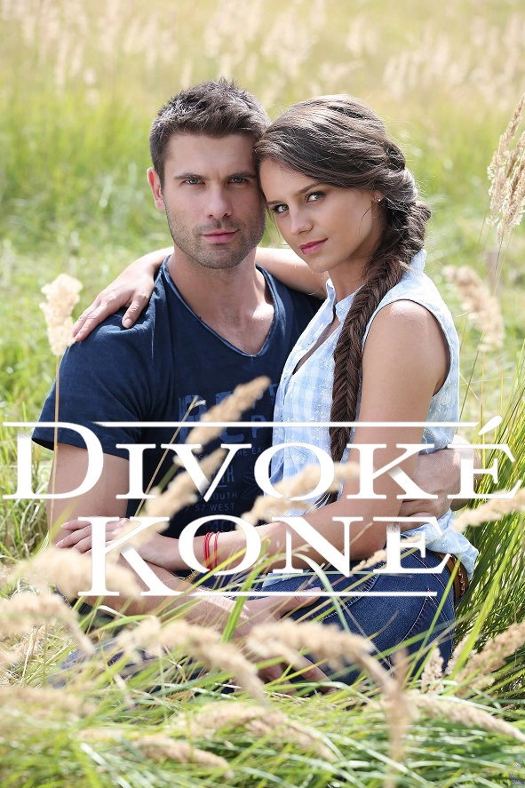 Divoké kone