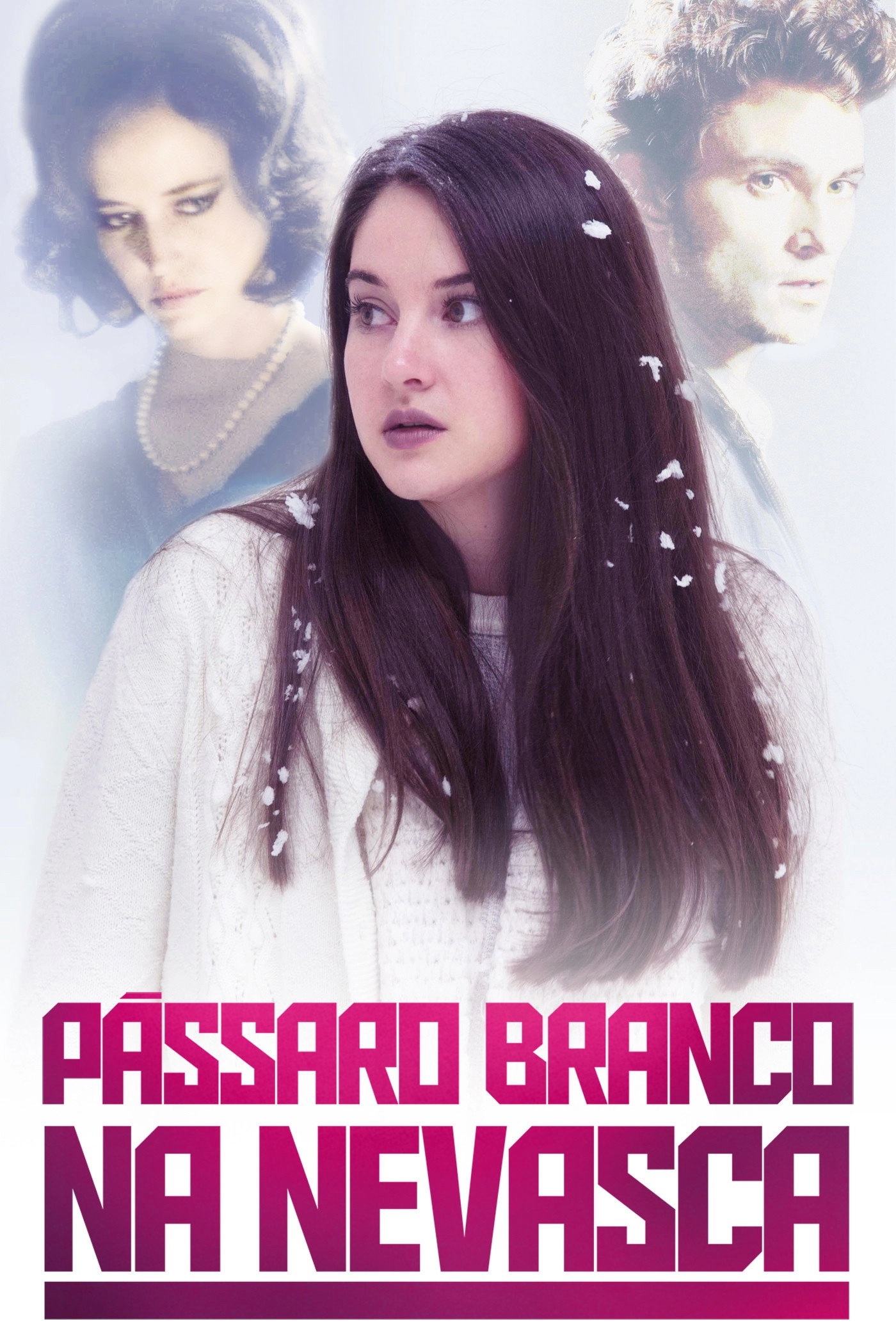 White Bird in a Blizzard