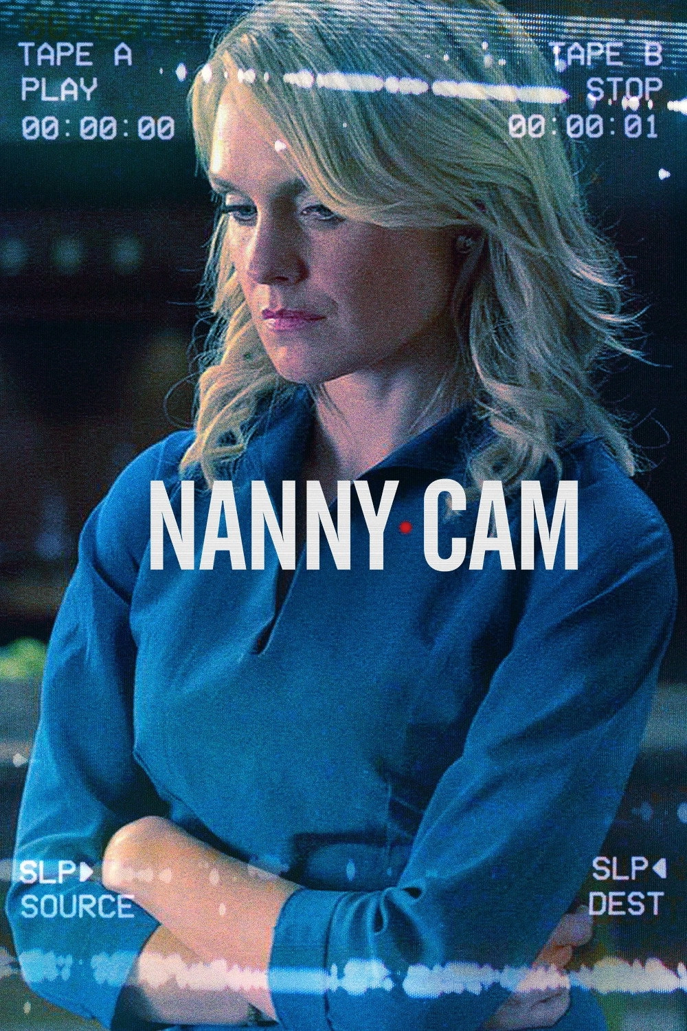 Nanny Cam