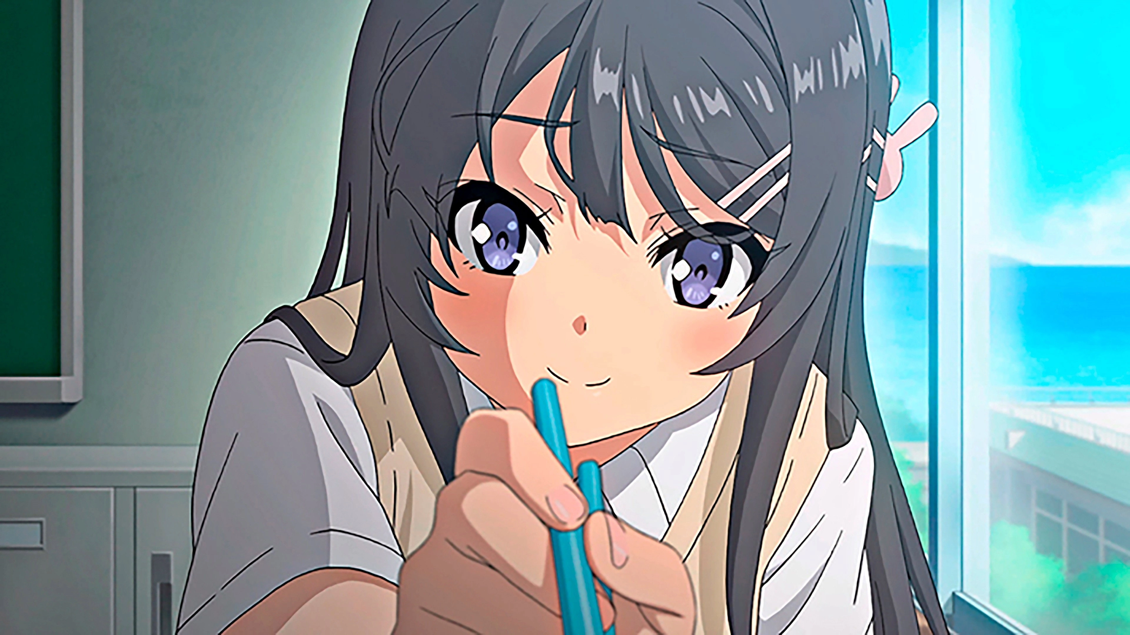 Rascal Does Not Dream of Bunny Girl Senpai