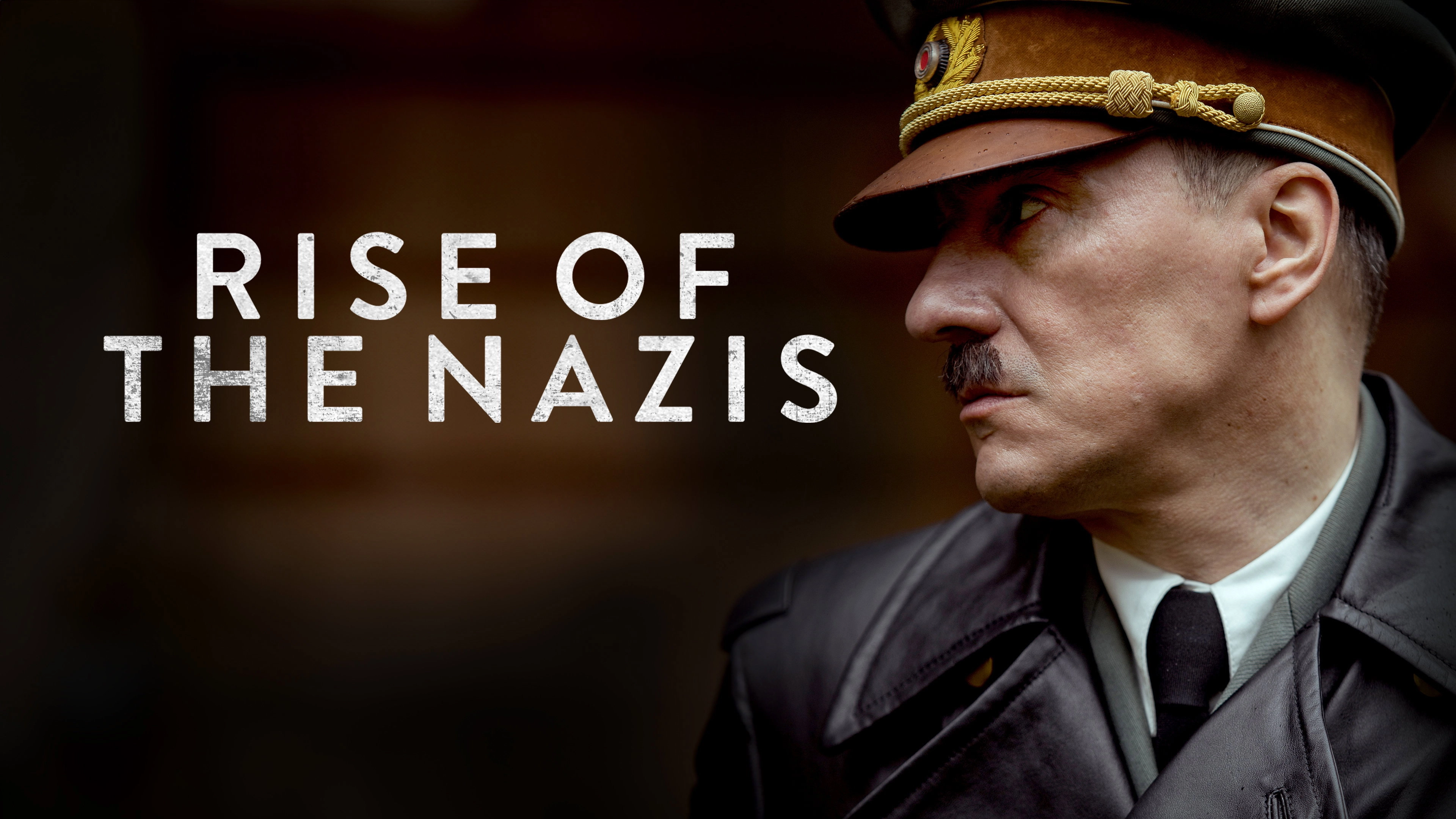 Rise of the Nazis