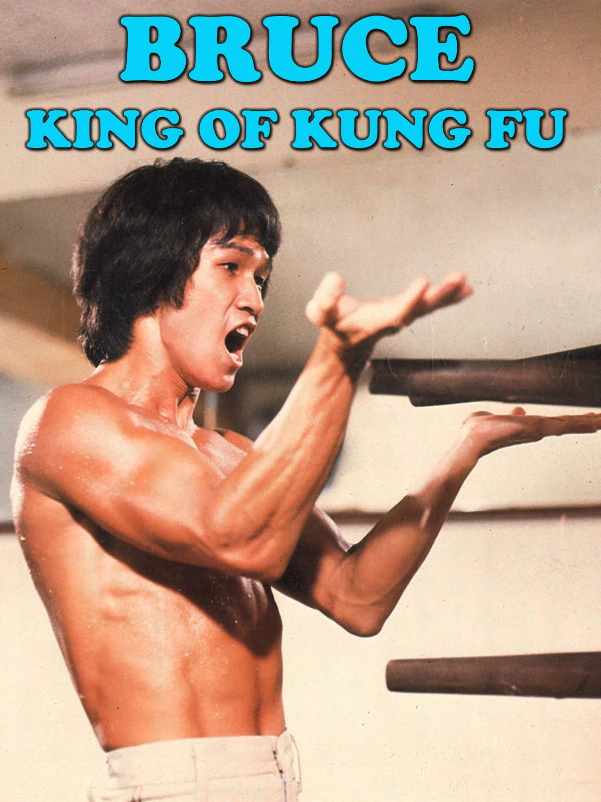 The Legend Of Bruce Lee