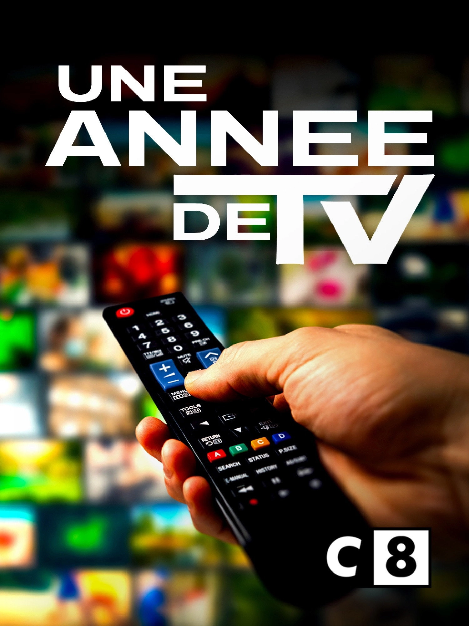 Une année de TV