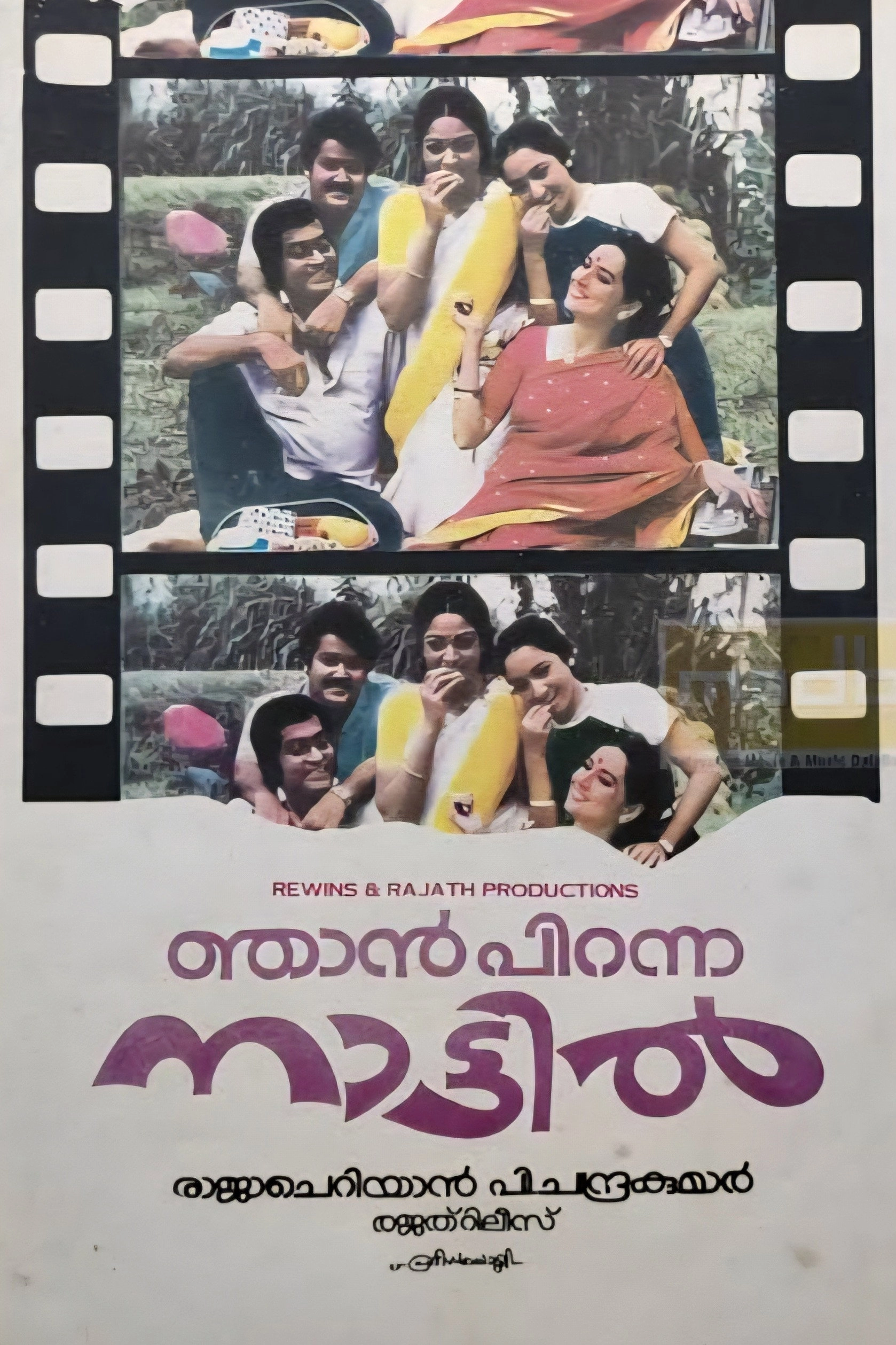 Njan Piranna Naattil