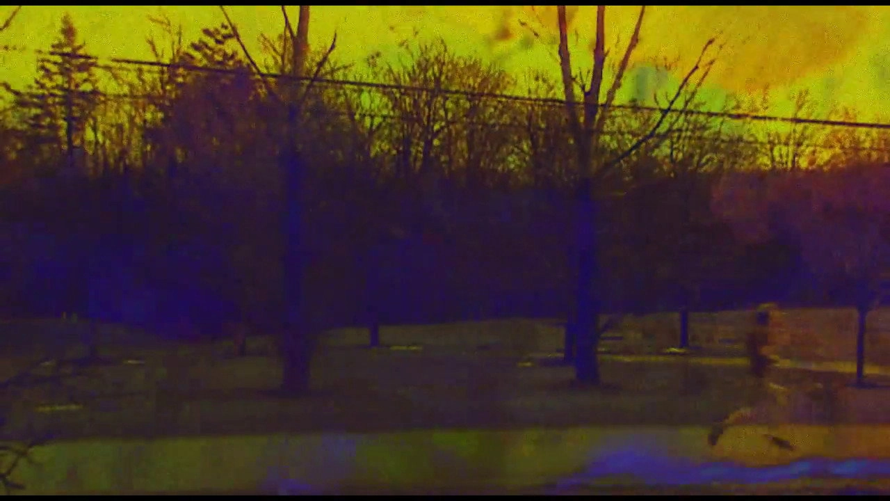 Joose Psychedelia Test