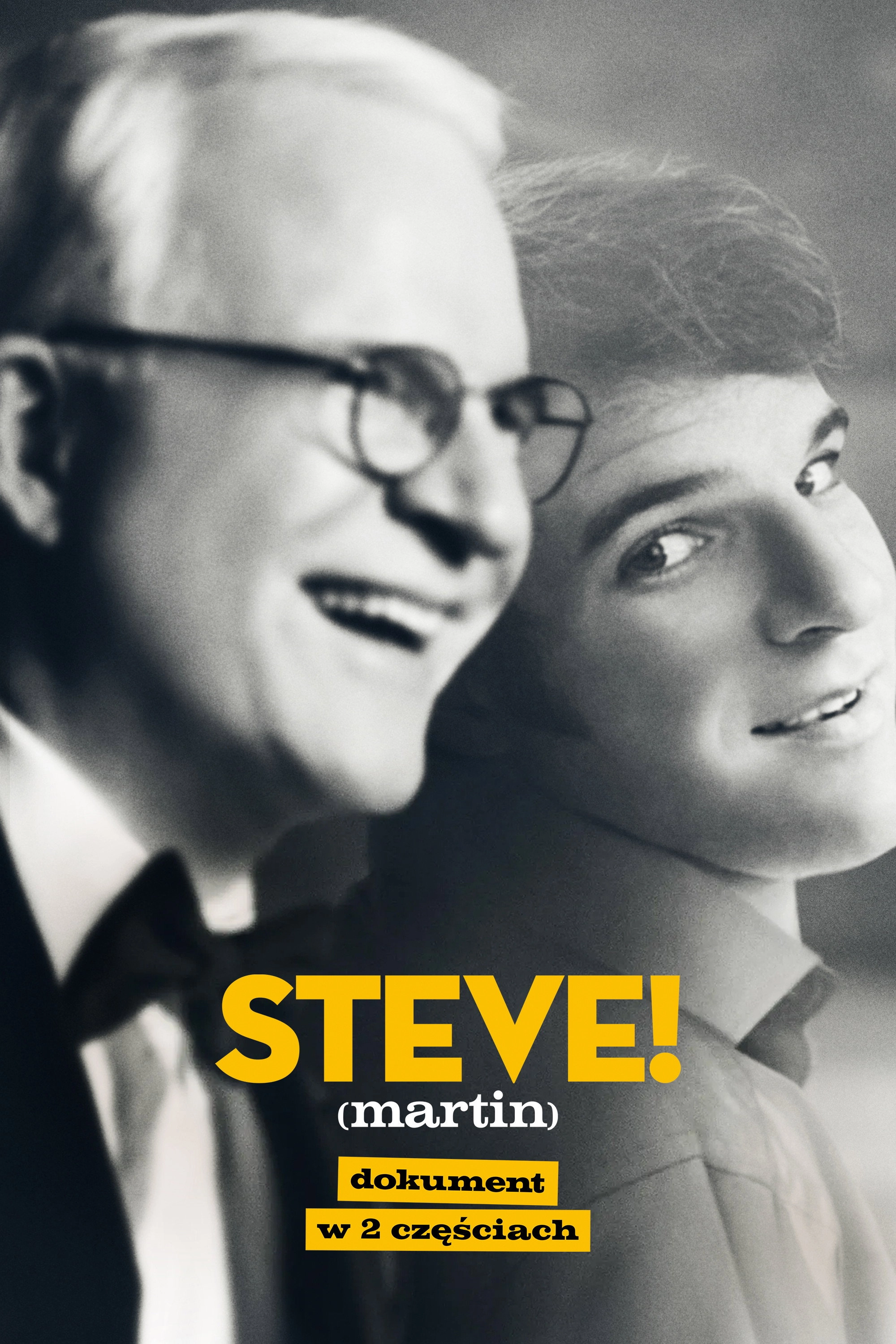 STEVE! (martin) a documentary in 2 pieces