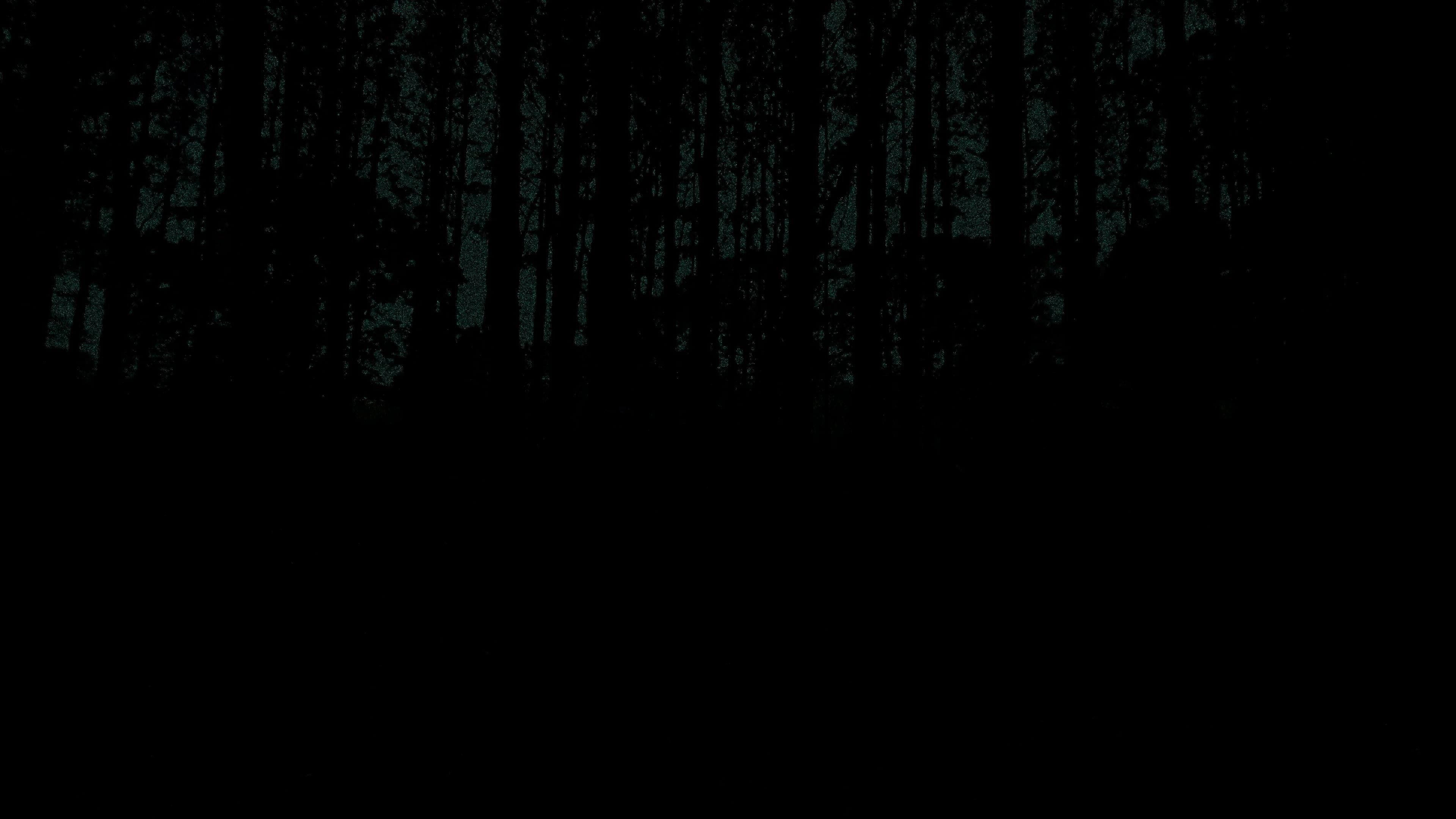 REFLECTION.mp4