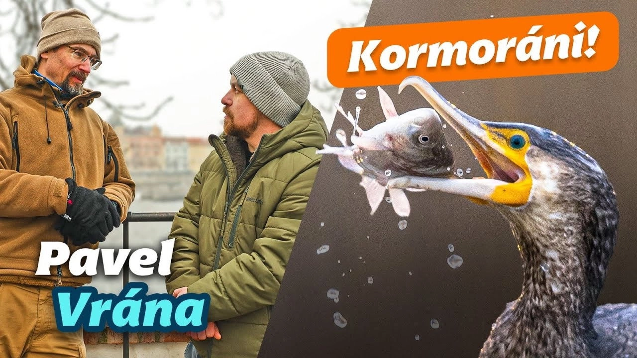 Rybománie