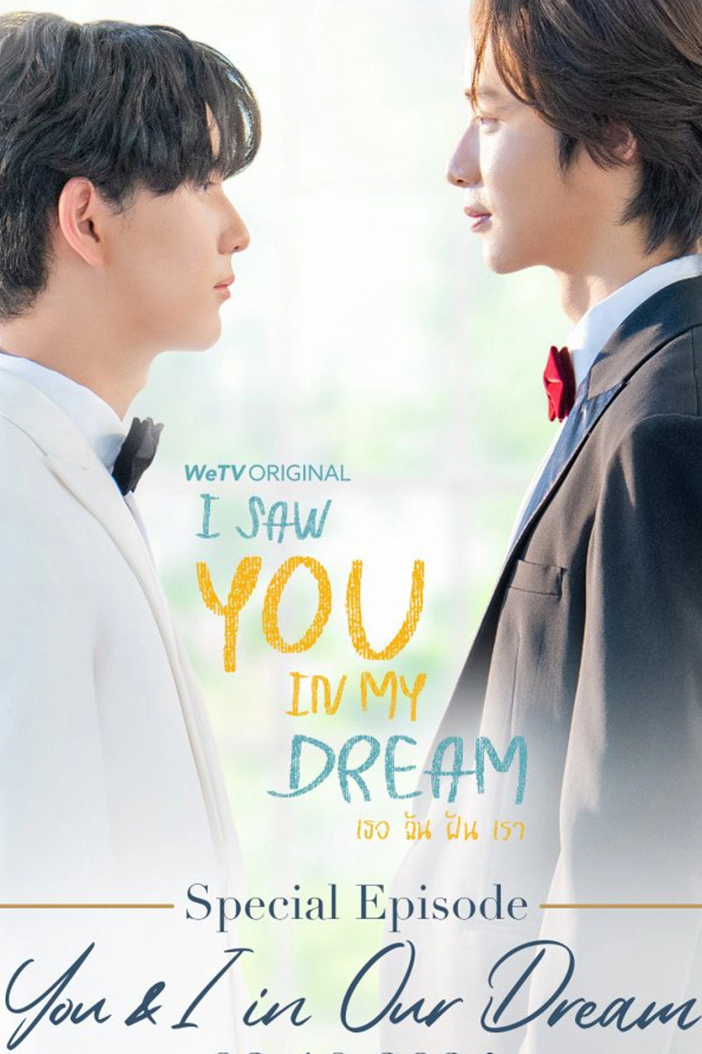 I Saw You In My Dream