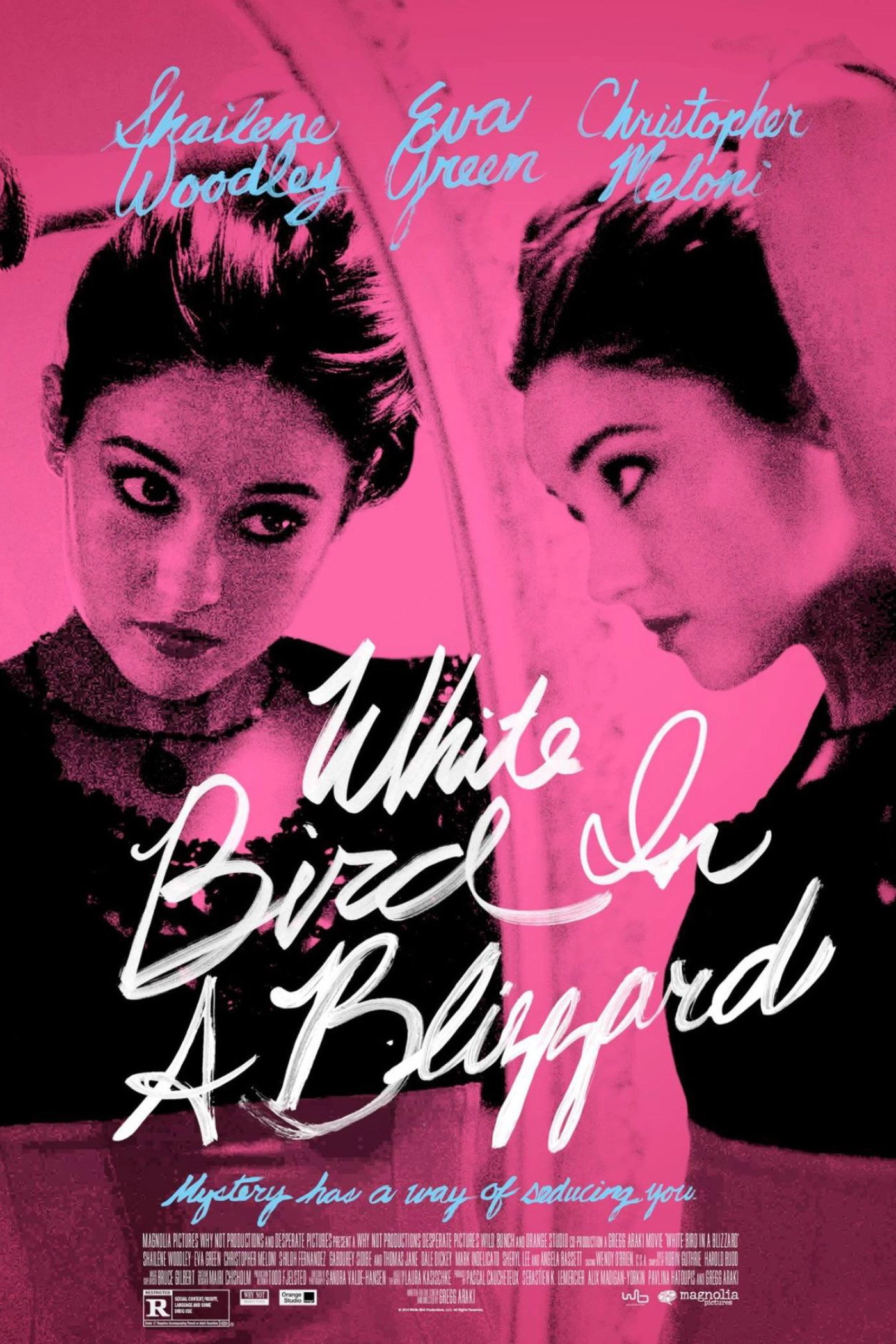 White Bird in a Blizzard