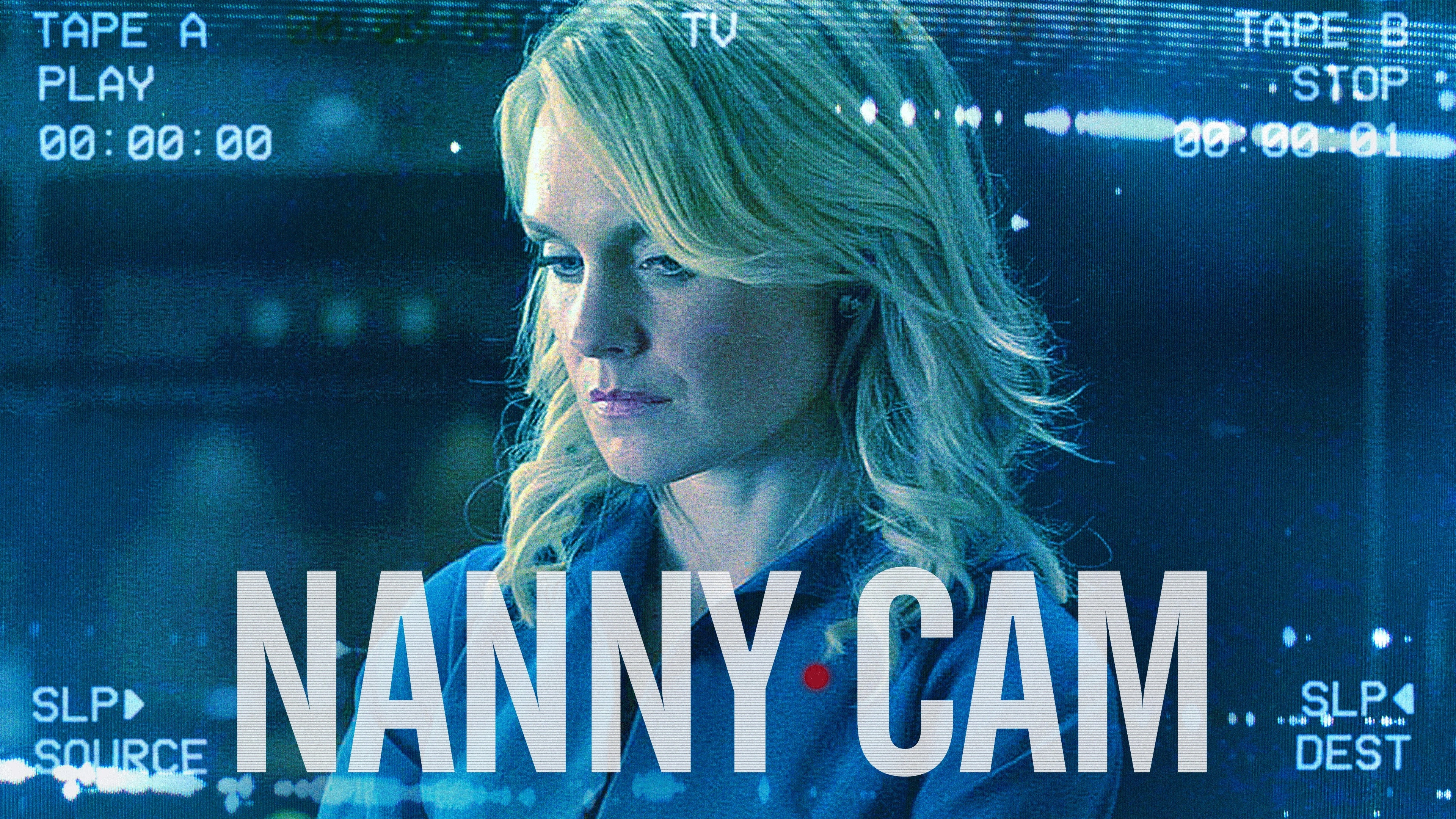 Nanny Cam