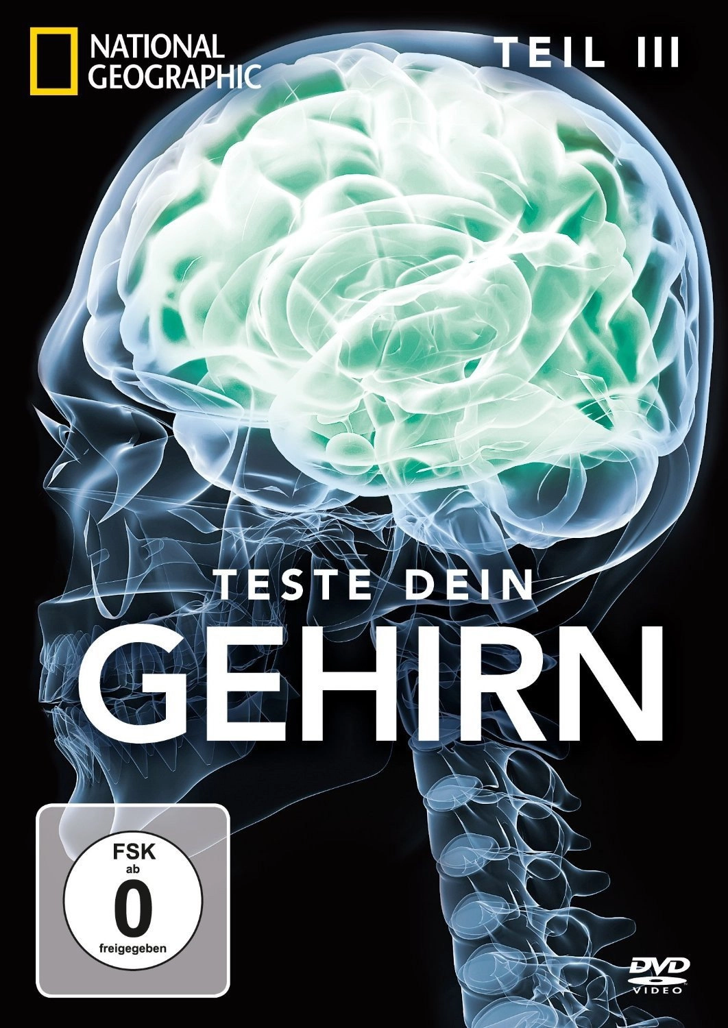 Test Your Brain