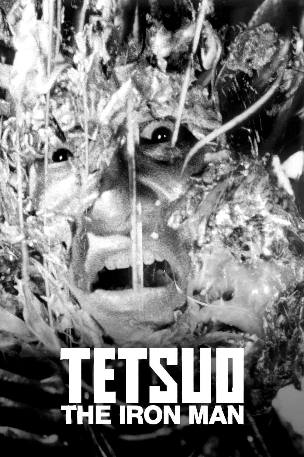 Tetsuo: The Iron Man