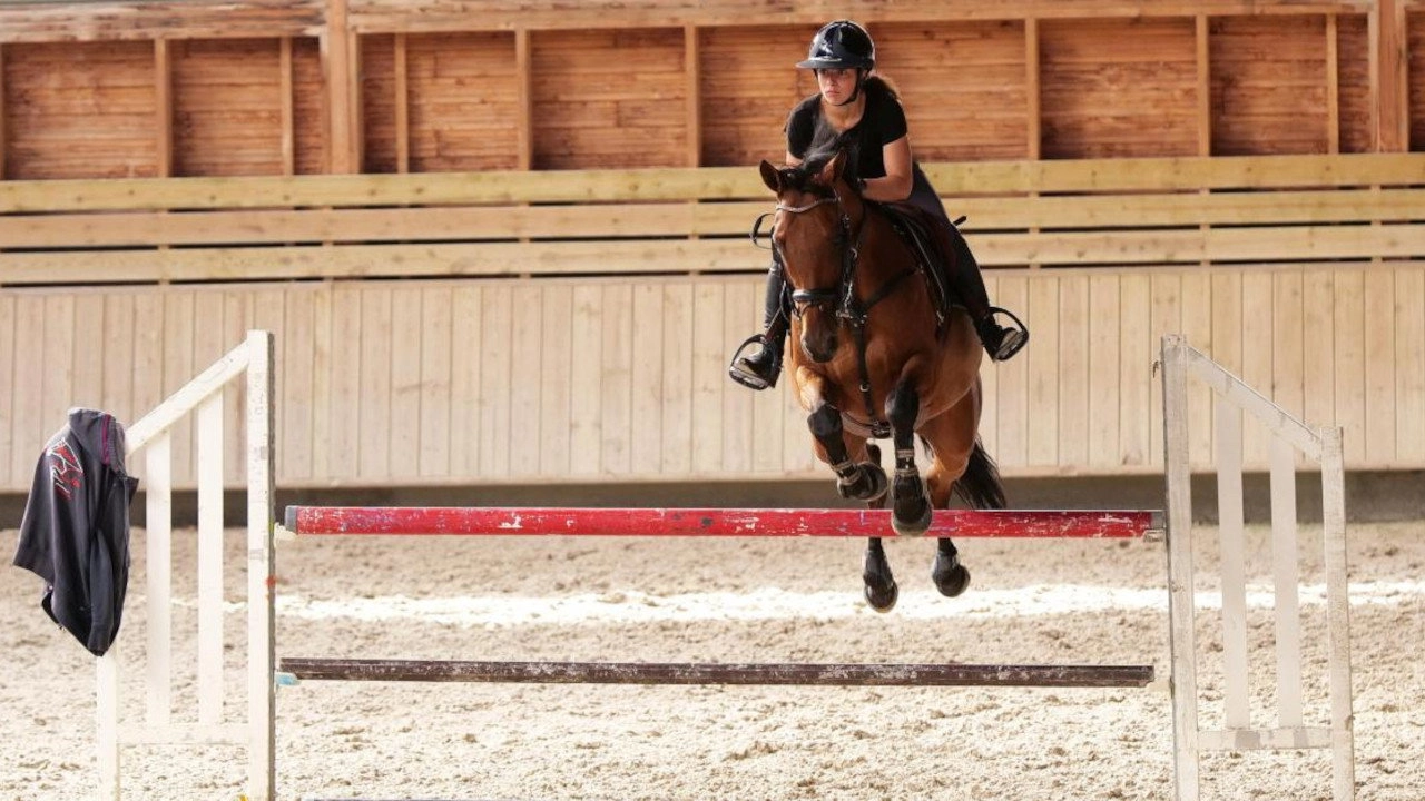 Au galop ! une saison à cheval