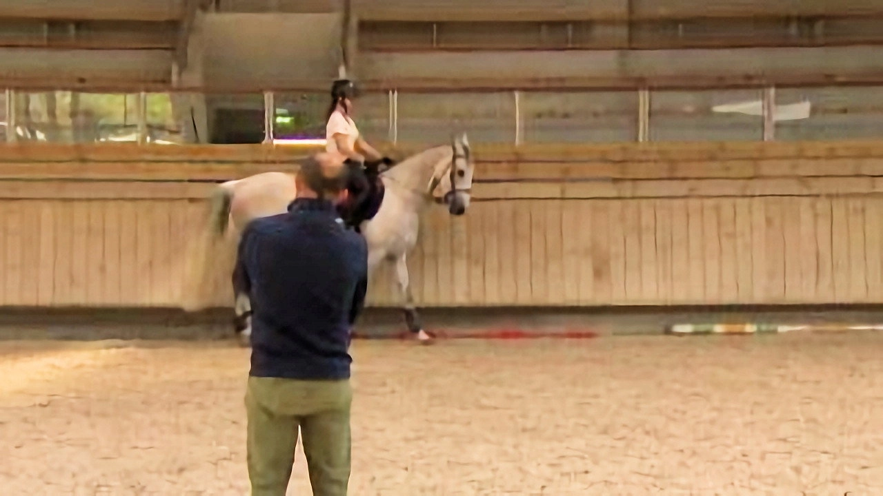 Au galop ! une saison à cheval