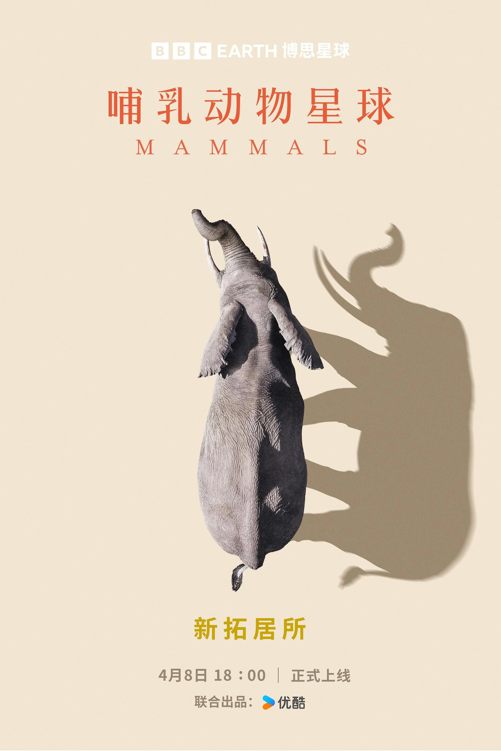 Mammals