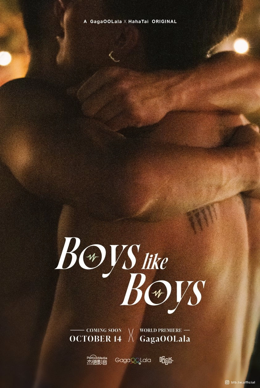 Boys Like Boys