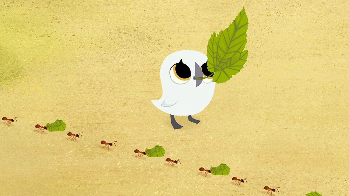 Puffin Rock