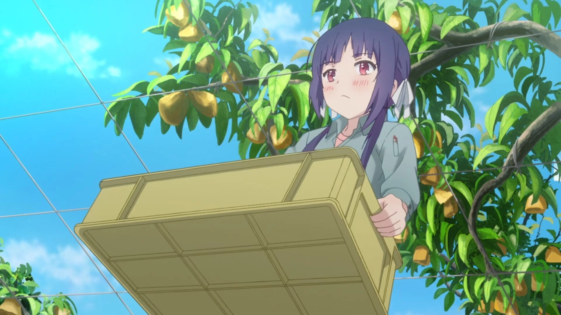 No-Rin