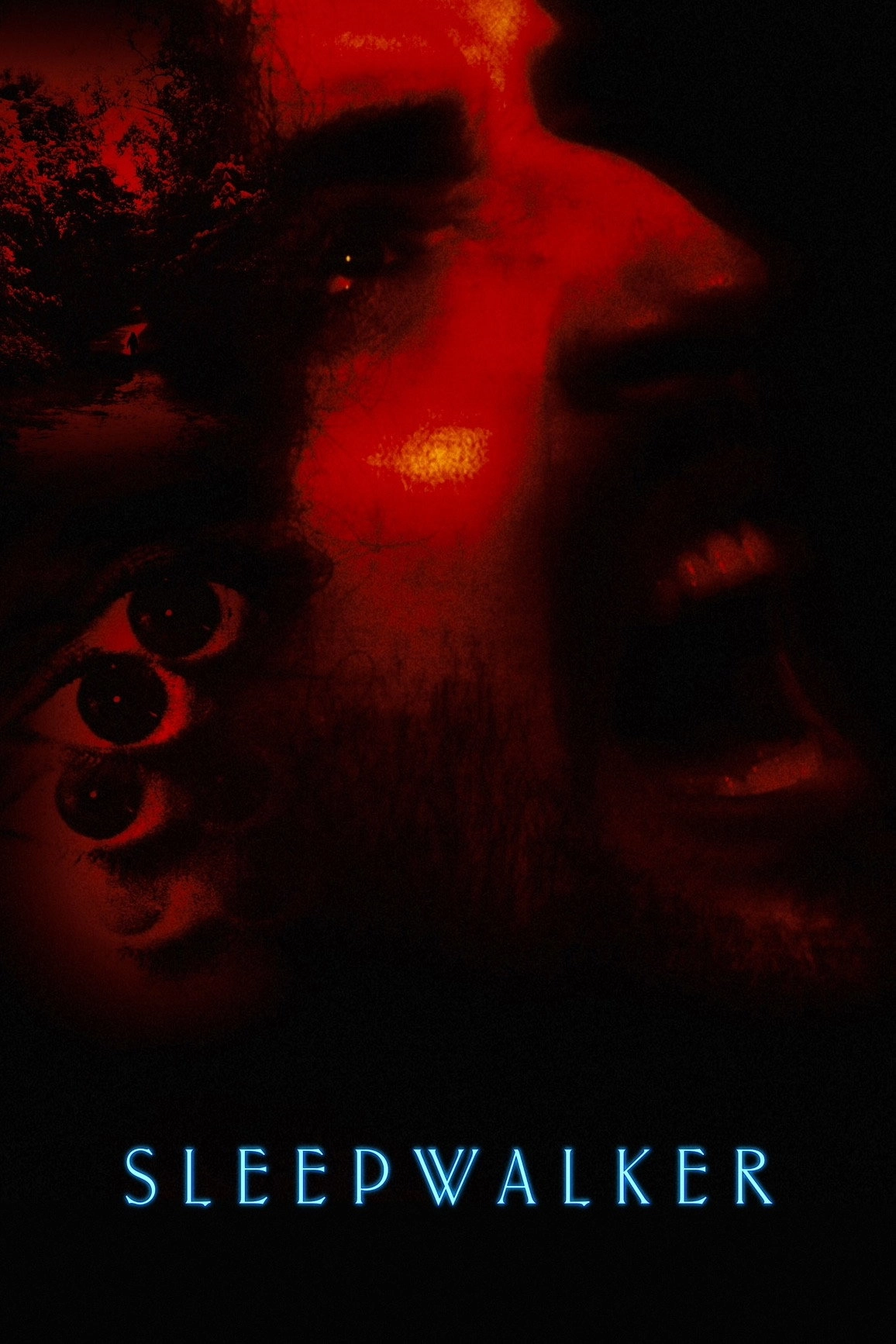 Sleepwalker
