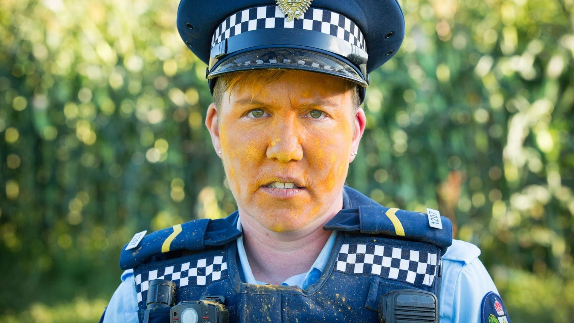 Wellington Paranormal