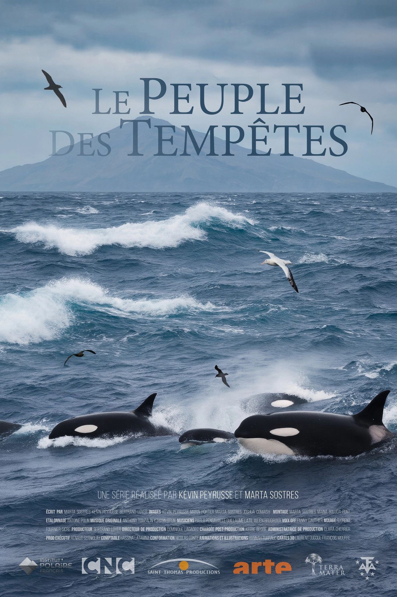 Animals of the Tempest