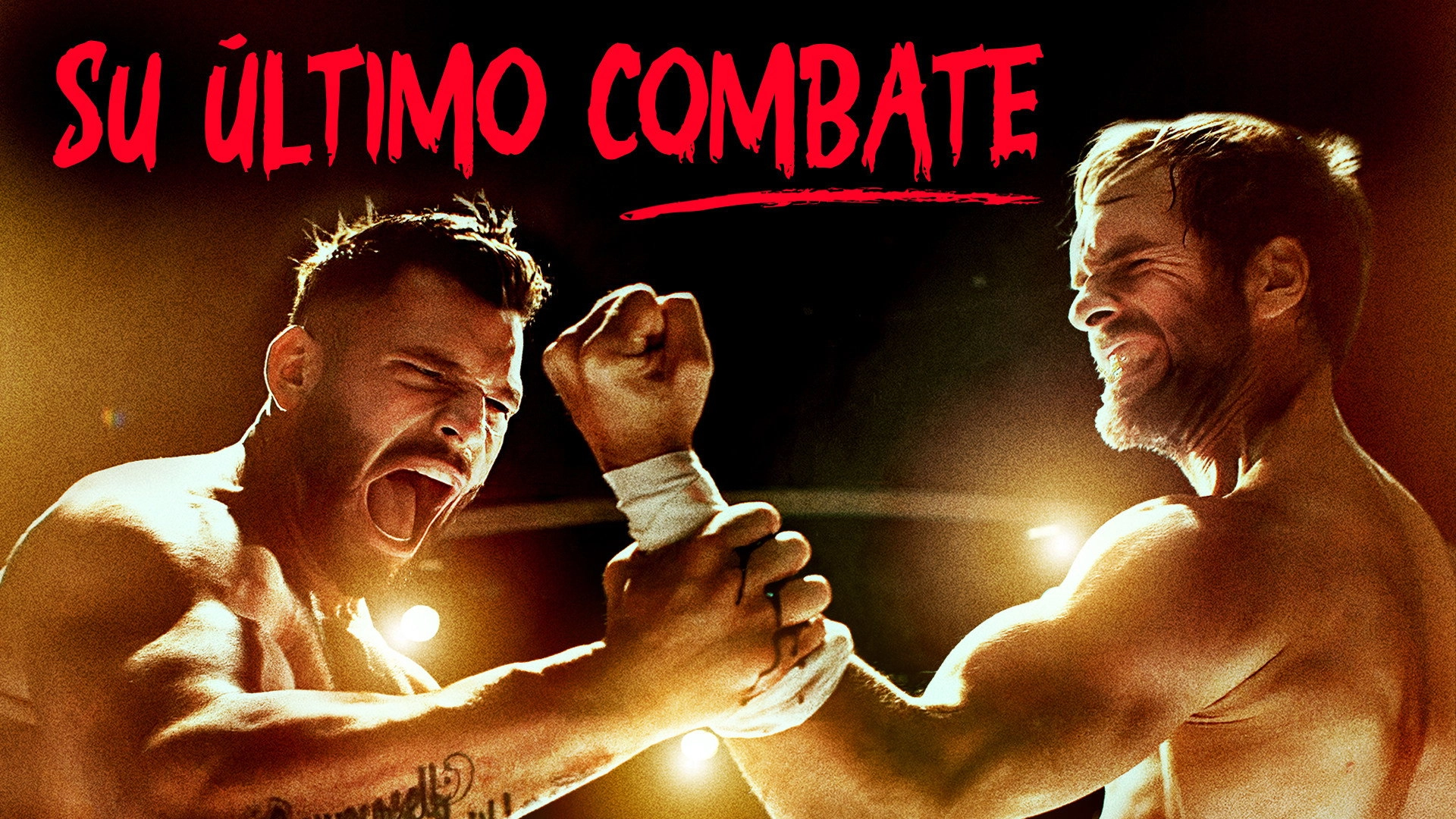 The Last Kumite