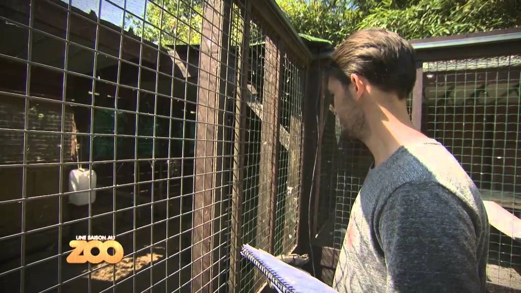 Une saison au zoo