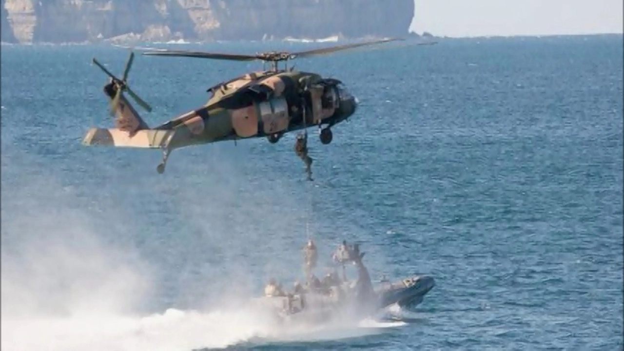 The Australian SAS: The Untold History