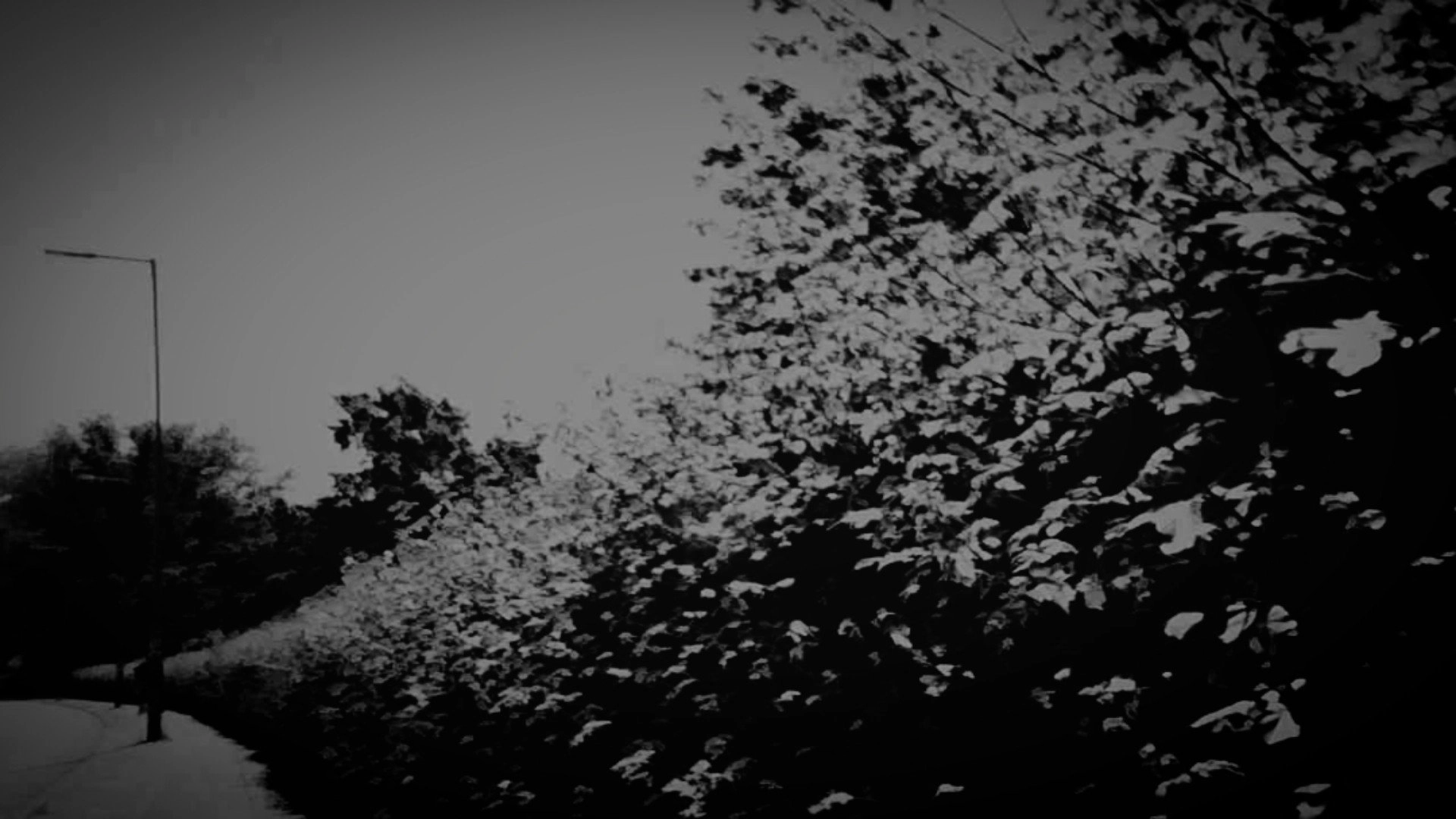 summer walk