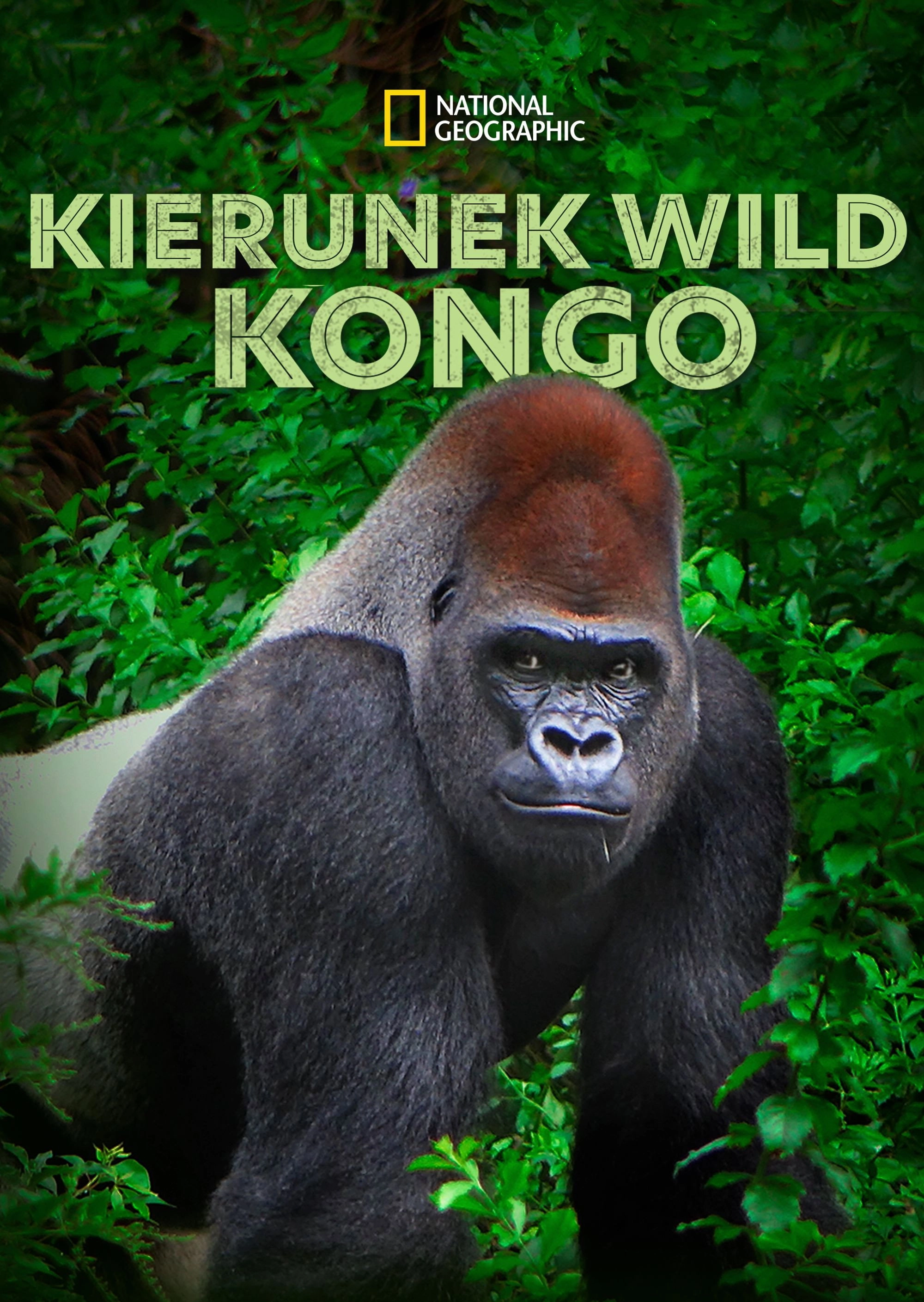 Wild Congo