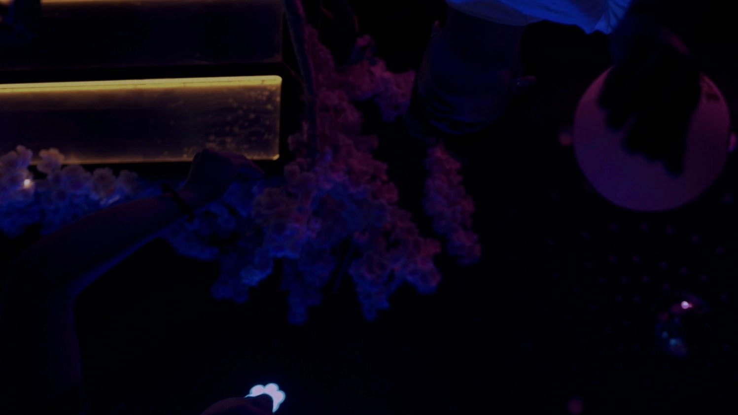ULTRAVIOLETA