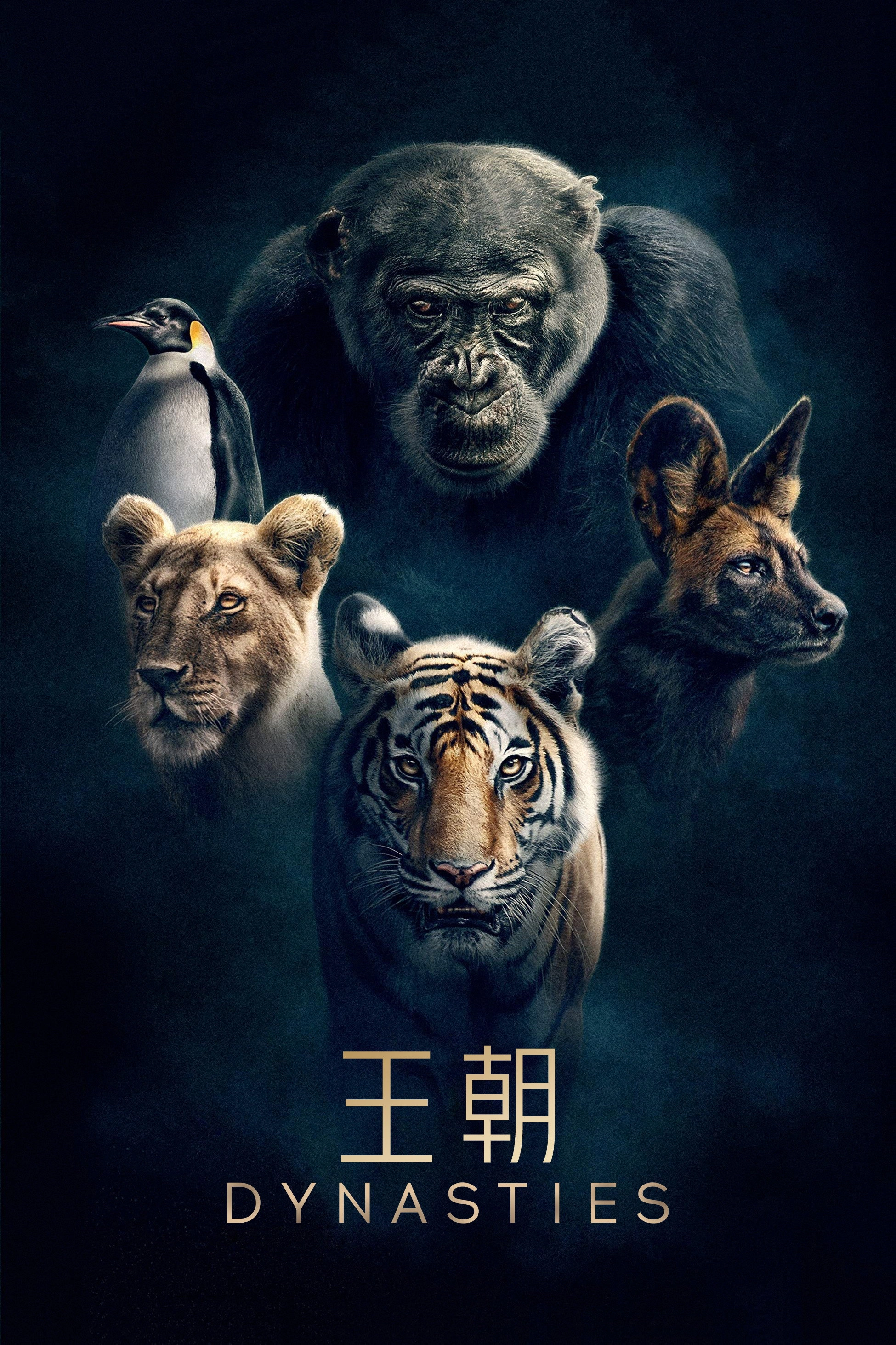 Dynasties