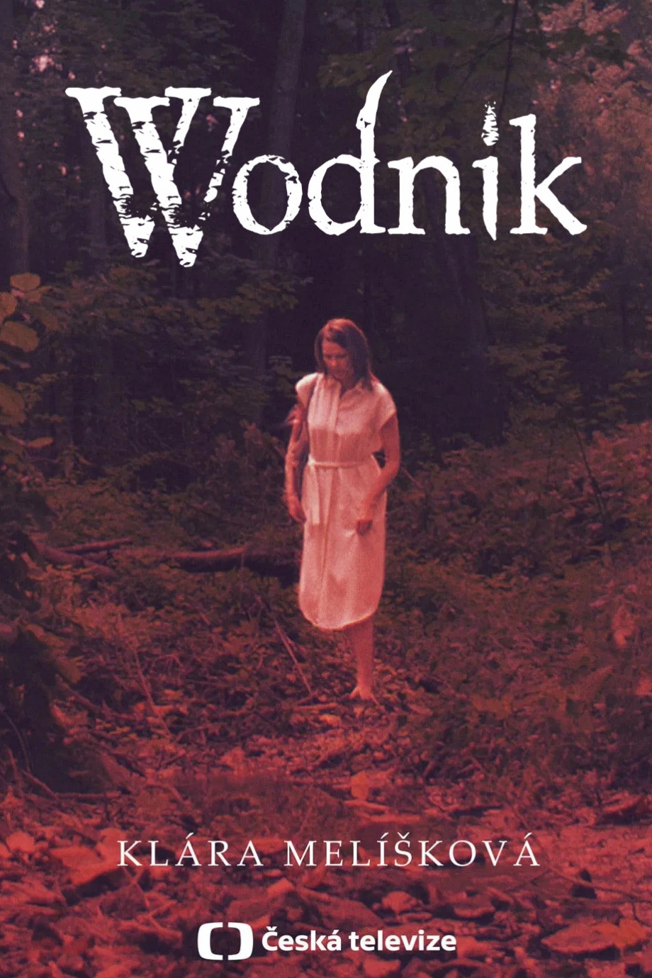 Vodník