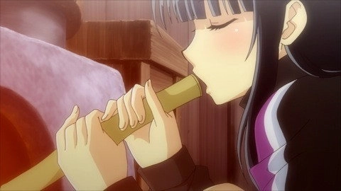 Senran Kagura: Ninja Flash