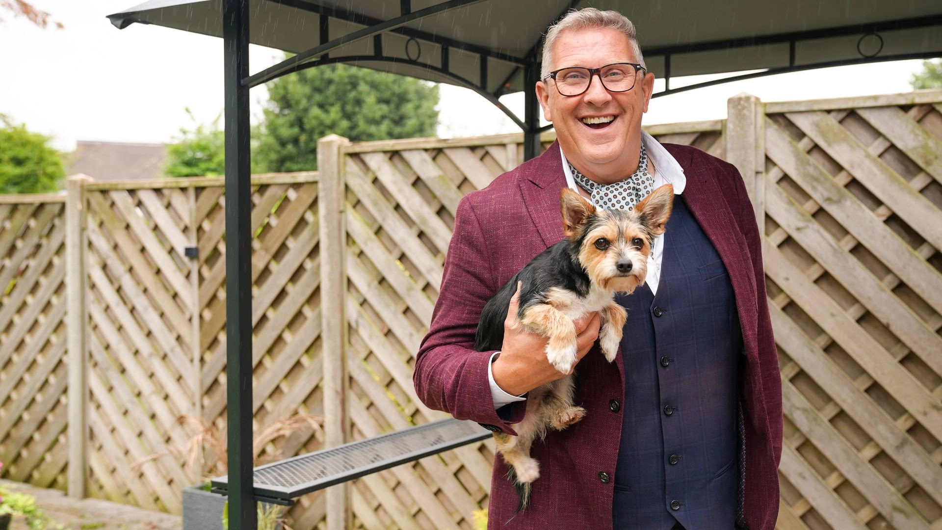 Dogs Behaving (Very) Badly
