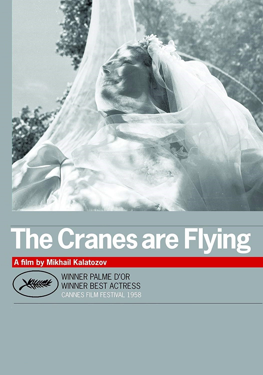 The Cranes Are Flying