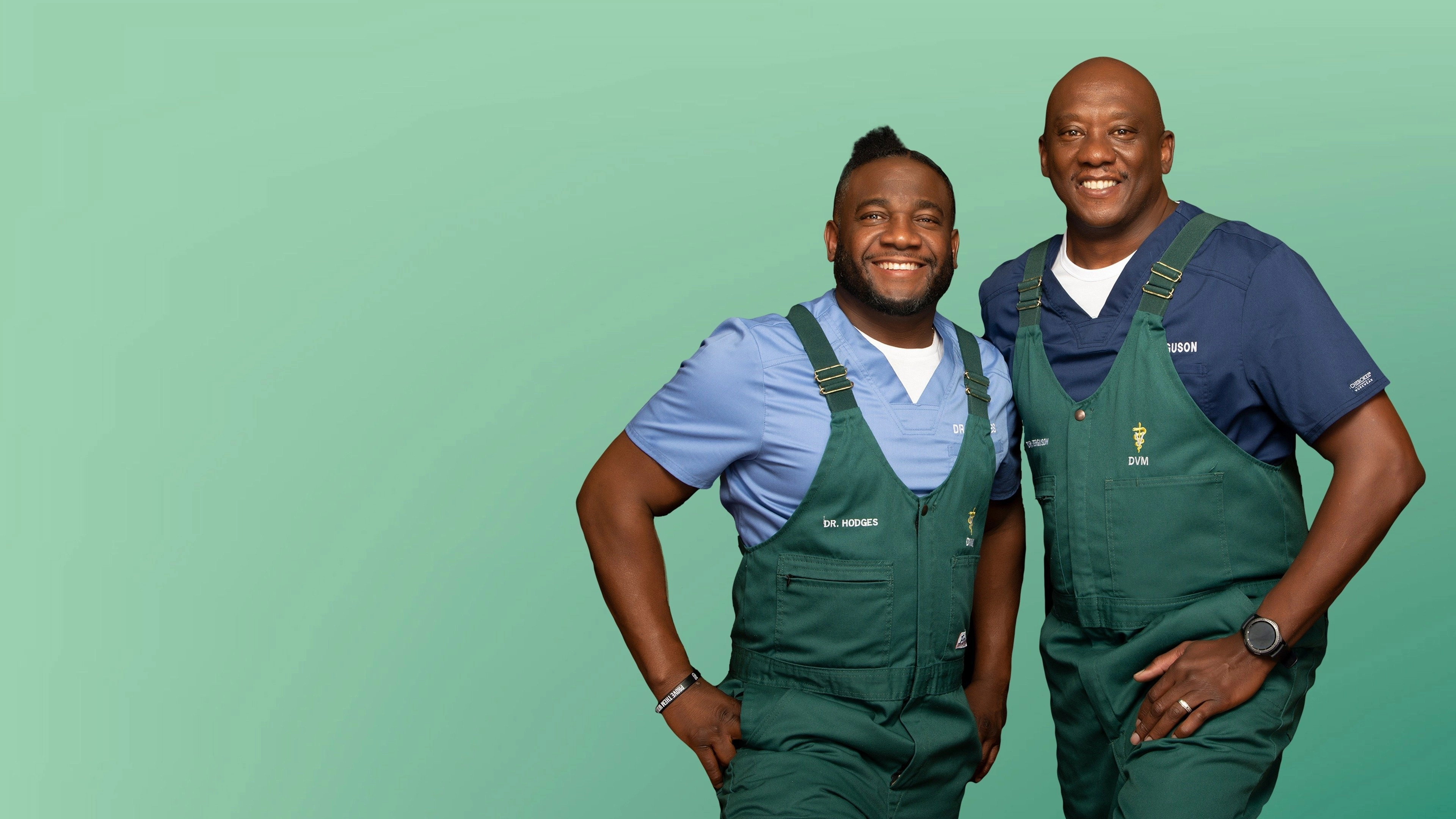 Critter Fixers: Country Vets