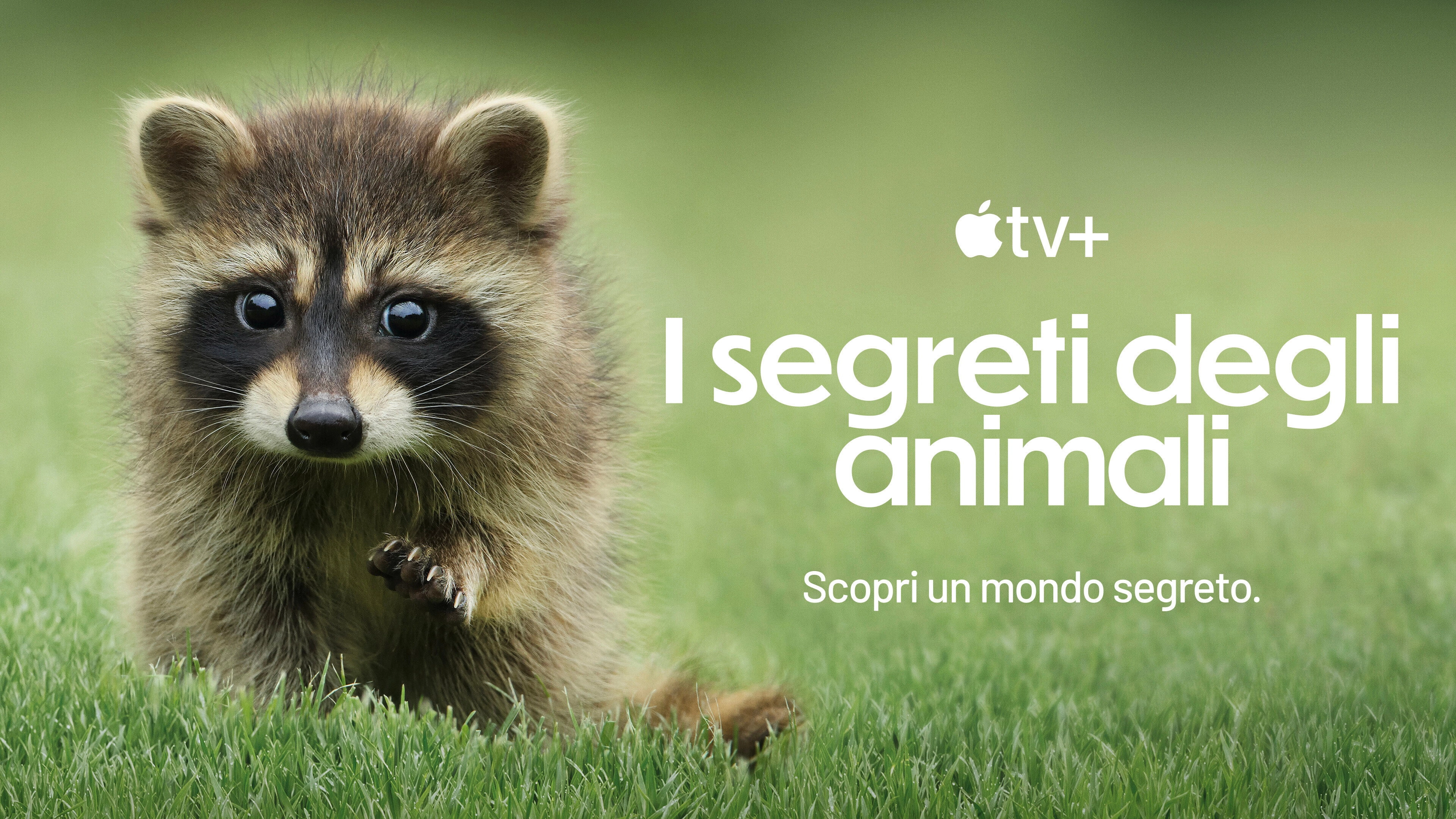 The Secret Lives of Animals