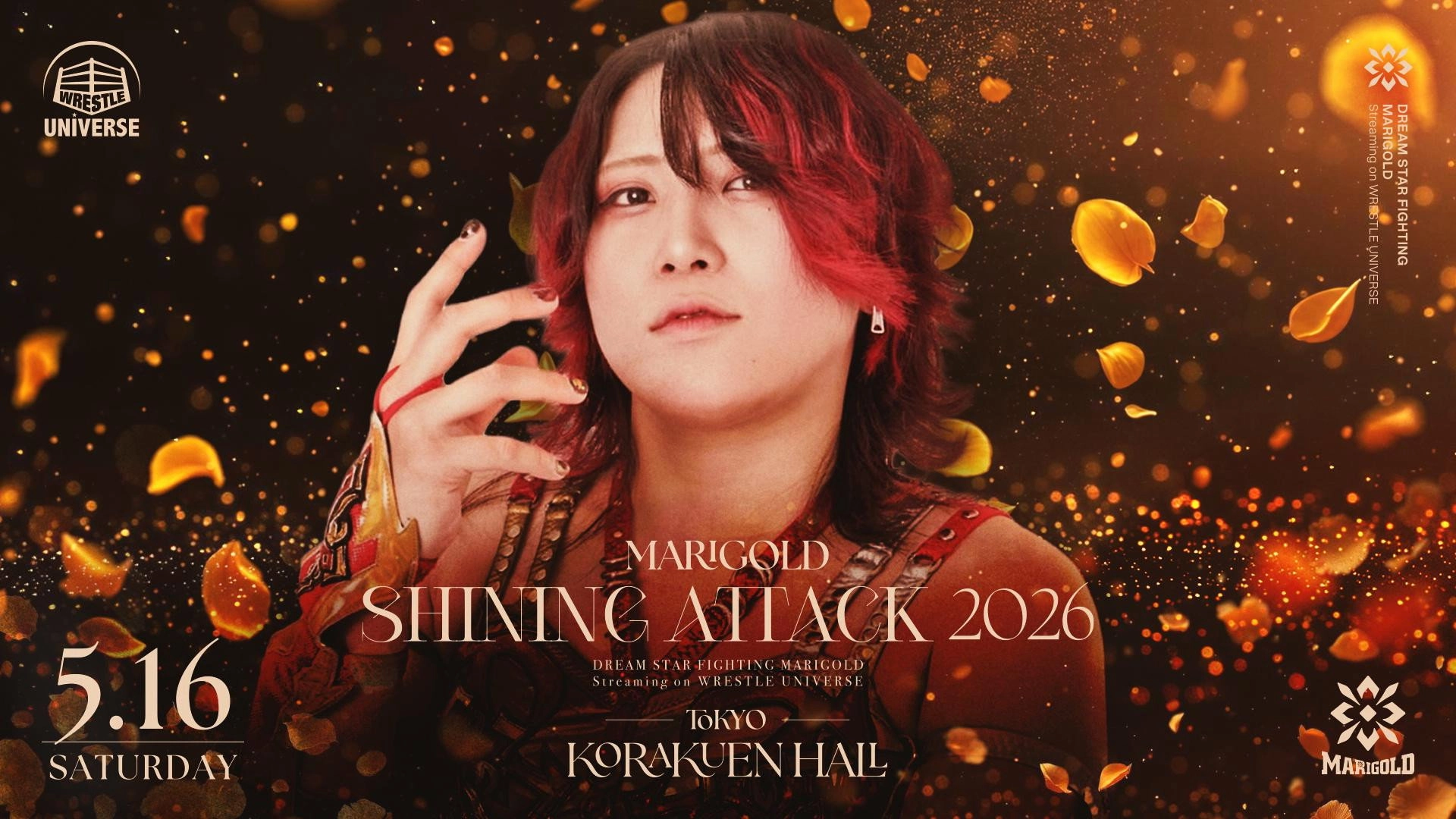 Marigold Shining Attack 2026 ~ Day 7