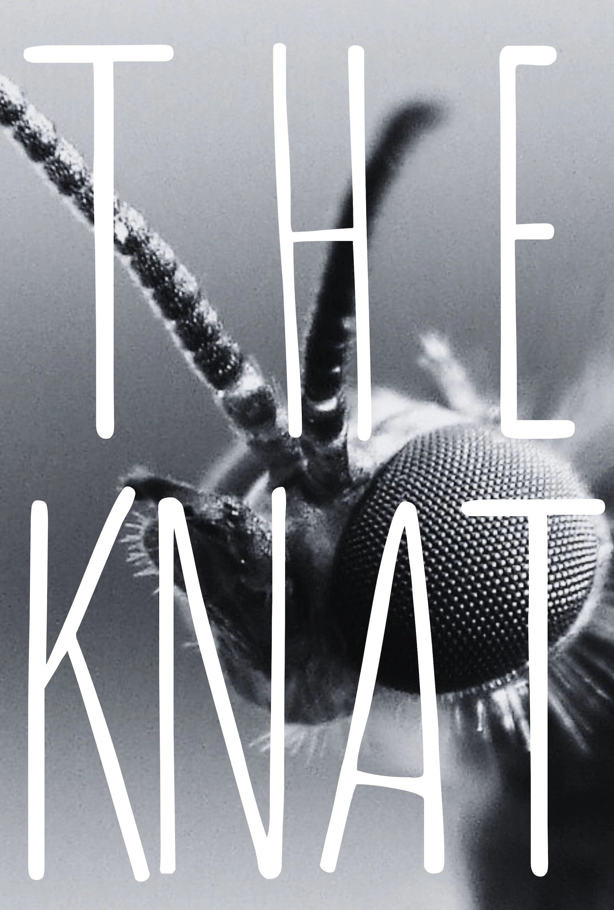 The Gnat