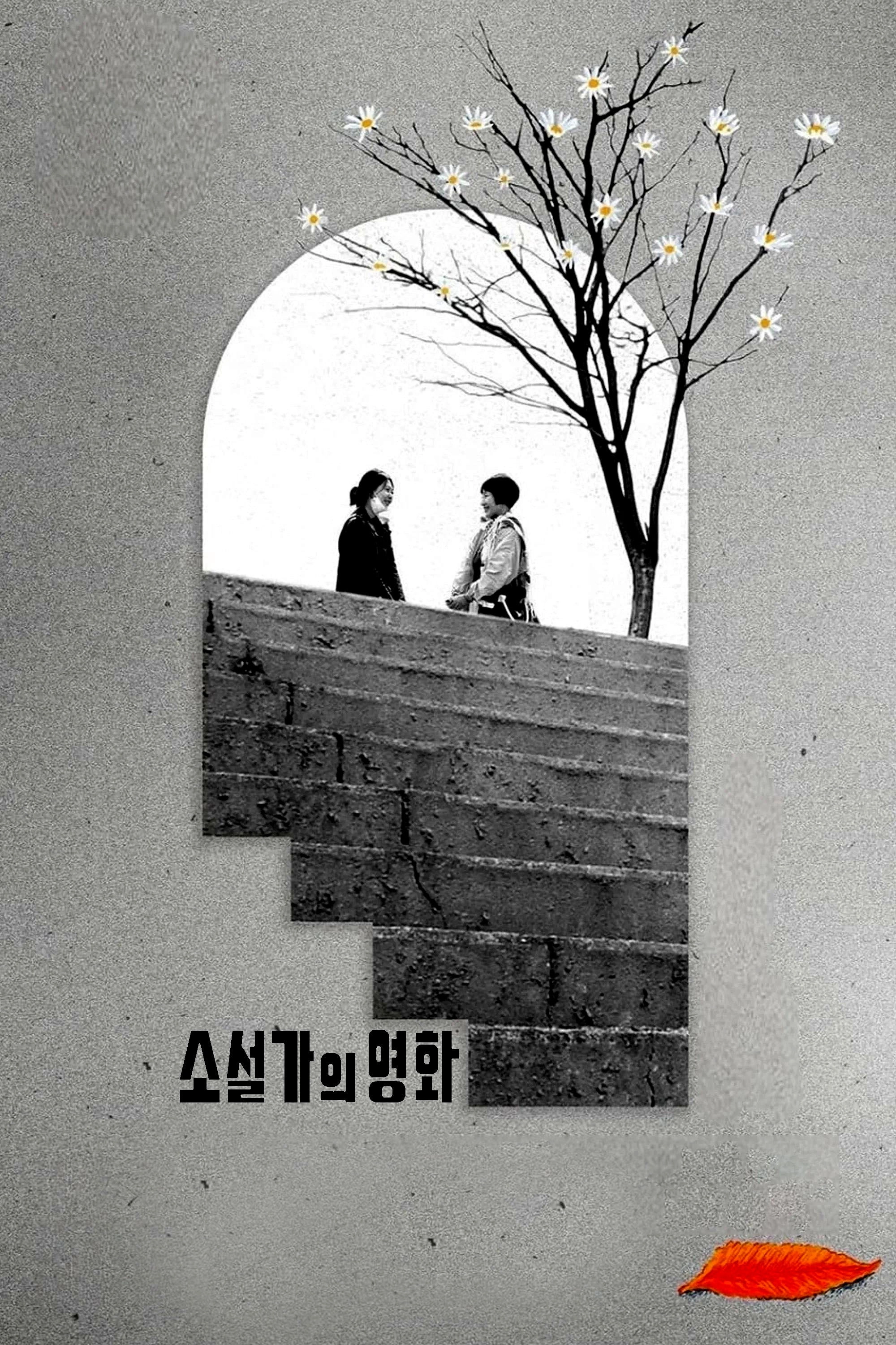 The Novelist's Film