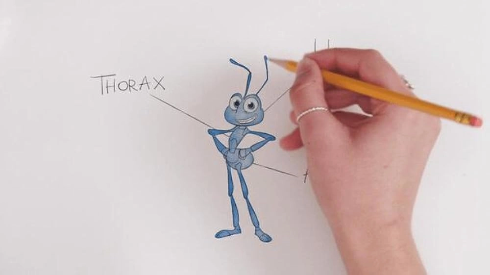 How Not to Draw