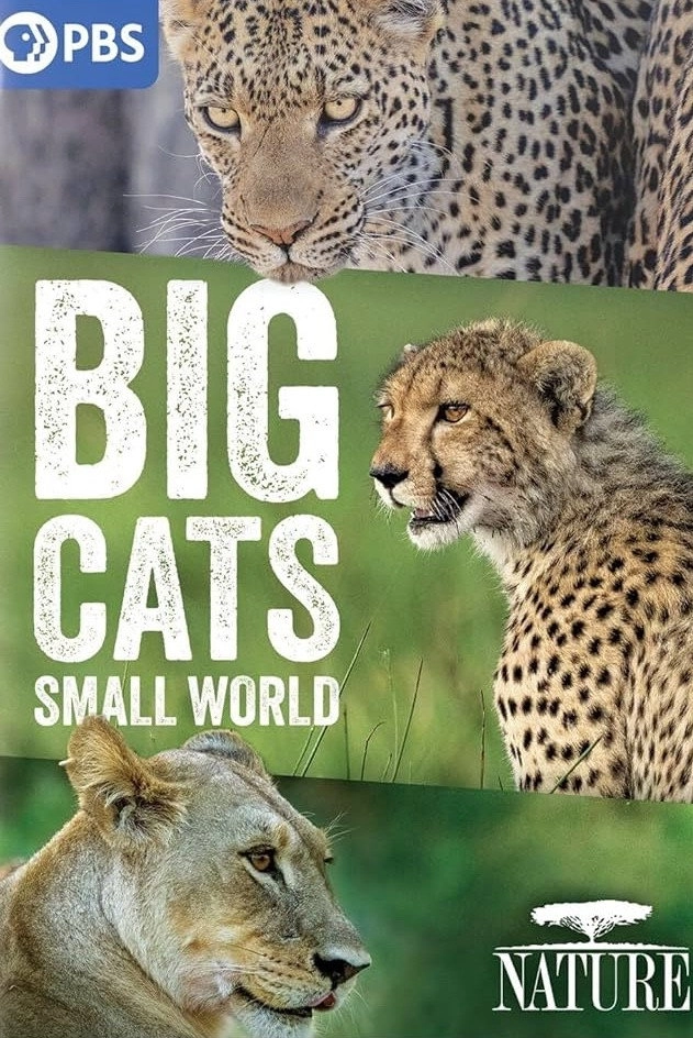 Big Cats, Small World
