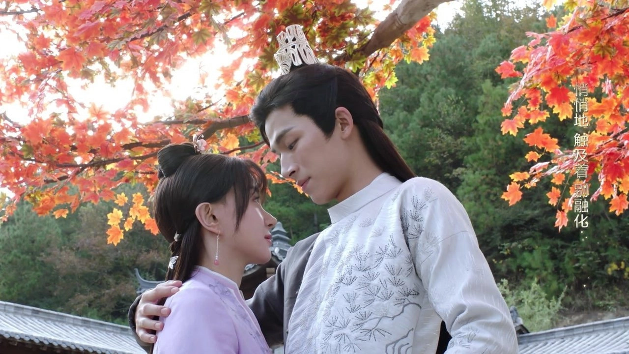 Your Sensibility My Destiny